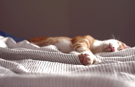 Медиа 2